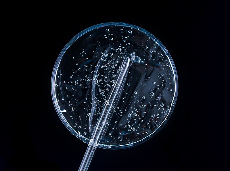 petri dish on a dark background