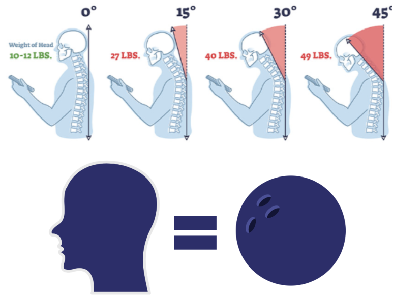 Head weight 4.5~6kg = weight of a bowling ball